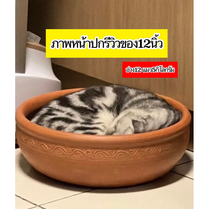 อ่างแมวนอนดินเผา12-14-16-18-20นิ้ว(คละแบบส่งปากเรียบ/ปากหยิก)📍ต้องเปิดพรีเดอไว้แต่จัดส่งปกติทุกวัน📍อ่างดินเผานอนเย็นสบาย