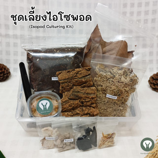 ชุดเลี้ยงไอโซพอด (Isopod Culturing Kit) พร้อมกล่องและไม้ ชุดเดียวจบ