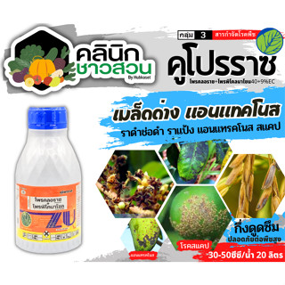 🥬 คูโปรราซ (โพรคลอราซ+โพรพิโคนาโซล) บรรจุ 500ซีซี ป้องกันเชื้อราแอนแทรคโนส ช่อดอกดำ ผลเน่า กาบใบแห้ง