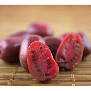 เมล็ดพันธุ์ กีวี่เบอร์รี่แดง (Red Kiwiberry Seed) บรรจุ 50 เมล็ด ของแท้ คุณภาพดี ราคาถูก นำเข้าจากต่างประเทศ