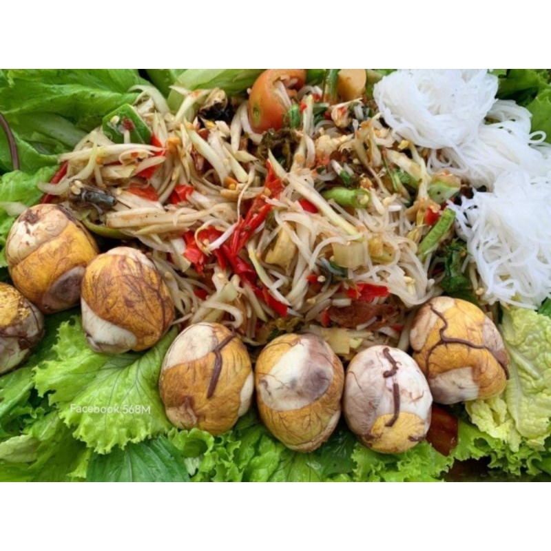 จัดส่งด่วน ไข่ไก่ลูกอ่อน ไข่ร้างรัง ไข่ฮ้างฮัง ไข่ข้าว ไข่ตัวนึ่งสุก ไข่ลูกลาว ไข่เป็นตัวไก่ ไข่ตัวอ่อน ไข่เป็ดเวียดนาม - รูปที่ 6