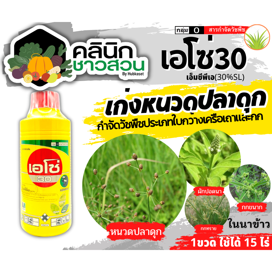 🥬 เอโซ่30 (เหลือง)(เอ็มซีพีเอ) บรรจุ 1ลิตร กำจัดวัชพืช ใบกว้างและกก เก่งกกหนวดปลาดุก