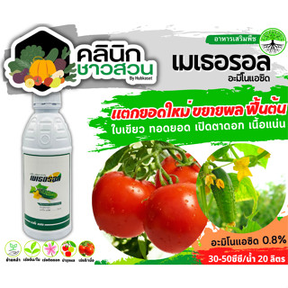 🥬 เมเธอรอล (อะมิโนแอซิด) บรรจุ 1ลิตร แตกยอดใหม่ ขยายผล ฟื้นต้น