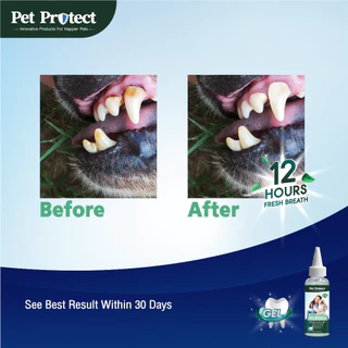 Pet Protect Dental Gel เจลป้ายฟัน สูตร Original ช่วยลดคราบหินปูน กำจัดกลิ่นปาก สำหรับสุนัขและแมว 4 Oz. (118 มล./ขวด)
