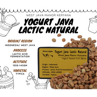 พร้อมส่ง เมล็ดกาแฟ Yogurt Java Lactic Natural process/ เมล็ดกาแฟนอก/ สารกาแฟอินโดนีเซีย