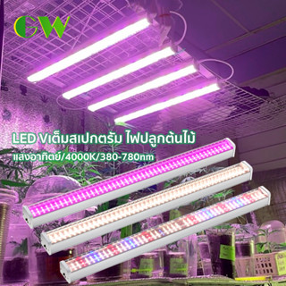 AC220V Full Spectrum LED Grow Light ไฟบาร์ปลูกต้นไม้ 4 แถว1000W ไฟปลูกต้นไม้ ไฟช่วยต้นไม้โตเร็ว sunlight/4000K/สีชมพ