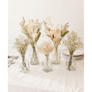 Gypsophila 💐 ดอกไม้แห้ง ดอกยิปโซแห้ง ตกแต่งบ้าน