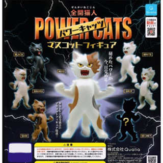 [เลือกแบบได้] Qualia กาชาปอง Power Cat Mascot Figure ของแท้ พร้อมส่ง