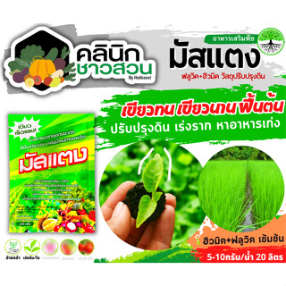 🥬 มัสแตง (ฟลูวิค+ฮิวมิค) บรรจุ 100กรัม เขียวทน เขียวนาน พื้นต้น