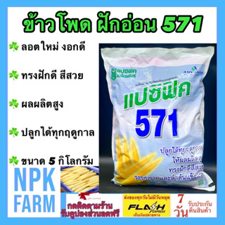 ข้าวโพดฝักอ่อน แปซิฟิค 571 ขนาด 5 กิโลกรัม ข้าวโพด ลอตใหม่ หมดอายุ 01-06-2567 ปลูกได้ทุกฤดูกาล ผลผลิตสูง ทรงฝักดี สีสวย