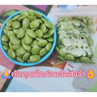 🚚พร้อ​มส่ง,​ขนาด 250 กรัม สะตอแกะสด เกรดA  ไม่แช่น้ำ​