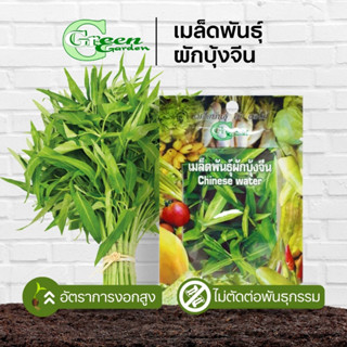 เมล็ดพันธุ์ผักบุ้งจีน (Chinese water) Green Garden