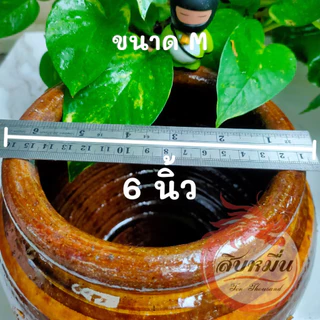 โอ่งมังกร ราชบุรี โอ่งใส่กิมจิ โอ่งดินเผาเคลือบ ผลิตจากโรงงานราชบุรี