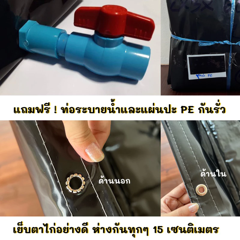 ส่งฟรี [ซื้อ2 ลด20] กระชังบกตอกตาไก่ สูง 50, 70, 100 cm สินค้าคุณภาพ ผลิตจากโรงงานโดยตรง แถมท่อน้ำ thumbnail 3
