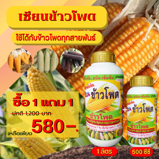 เซียนข้าวโพด ปุ๋ยฉีดข้าวโพด ฮอร์โมนข้าวโพด 1แถม1 ปุ๋ยทางใบ ฮอร์โมนพืช อะมิโน ปุ๋ยสูตร ยาฉีดข้าวโพด สาหร่าย อาหารเสริมพืช