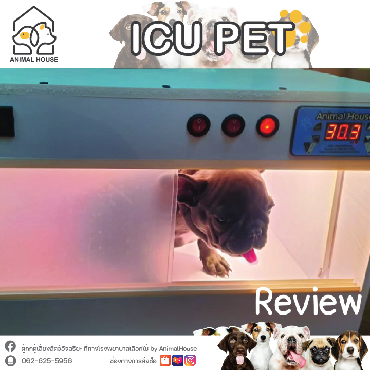 ตู้กกลูกนก ตู้ฟักไข่ ตู้สำหรับสัตว์เลี้ยง Exotic ด้วยระบบควบคุมอัตโนมัติ Size:M - รูปที่ 6