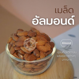 อัลมอนด์ / อัลมอนด์เม็ด ดิบ 500 กรัม และ 1 กิโลกรัม