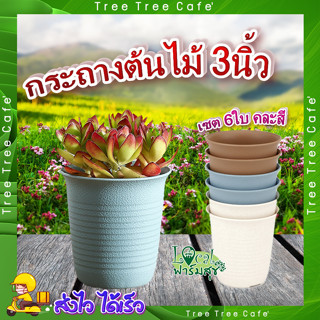 กระถางปลูกต้นไม้ ทรงกลม ใบเล็ก 💐 Tree O ขนาด 3นิ้ว (เซต 6ใบ) คละสี รุ่น 6PY057-MX กระถางต้นไม้ กระถาง กระถางพลาสติก อย่า