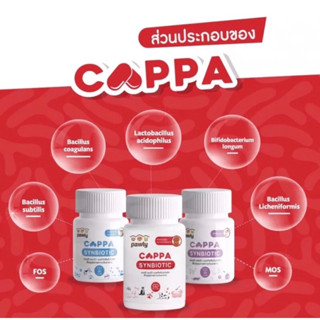 Pawly Cappa แอคทีฟซินไบโอติกฟื้นฟูทางเดินอาหารสัตว์เลี้ยง กระปุก 30 เม็ด