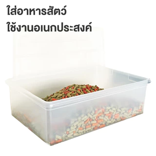 LittleTree กล่องใส่รองเท้าพลาสติก มีฝาปิด ขนาด M/L วางซ้อนได้ แข็งแรง ไม่มีรูระบายอากาศ สำหรับจัดระเบียบบ้าน
