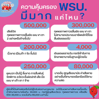 พรบ. รถยนต์ เก๋ง กระบะ ตู้ รับกรมธรรม์ไว รถน้ำมันและรถไฟฟ้า