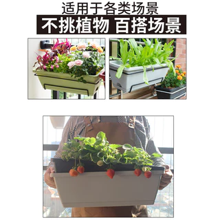 🏠LIFE🏠 ที่แขวนกระถางต้นไม้แบบเหล็ก กระถางแขวนผนัง flower stand HK003-004
