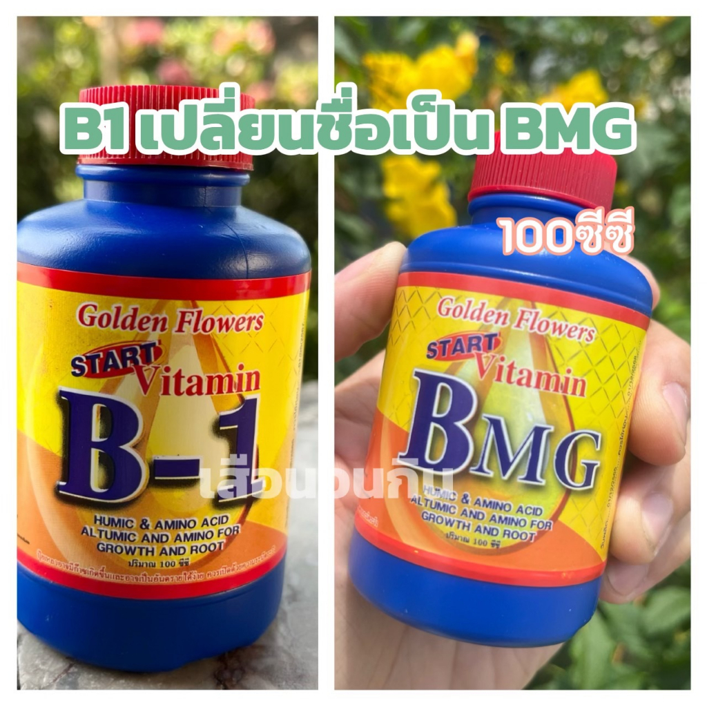 น้ำยาเร่งราก B1 (**รุ่นใหม่ เปลี่ยนชื่อเป็น BMG) คลุกเมล็ด ตอนกิ่ง ปักชำ (100ซีซี)