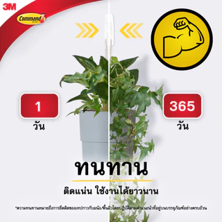 3M™ Command™ คอมมานด์ ตะขออเนกประสงค์ ขนาดกลาง, 17001, รับน้ำหนักได้ 1.3 กก. (6ชิ้น)
