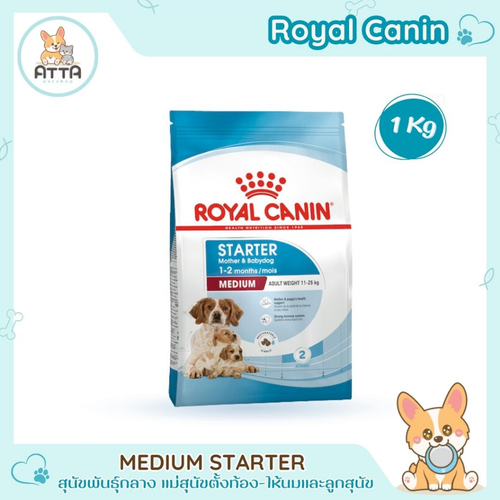 [ClearanceSale] RoyalCanin 🐶 Medium Starter 1kg สำหรับแม่สุนัขพันธุ์กลางที่ตั้งท้อง-ให้นมและลูกสุนัข