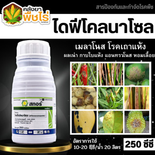 🌽 สกอร์ (ไดฟีโนโคลนาโซล) 250ซีซี ป้องกันเชื้อรากาบใบไหม้ แอนแทรคโนส ใบจุดสีม่วง