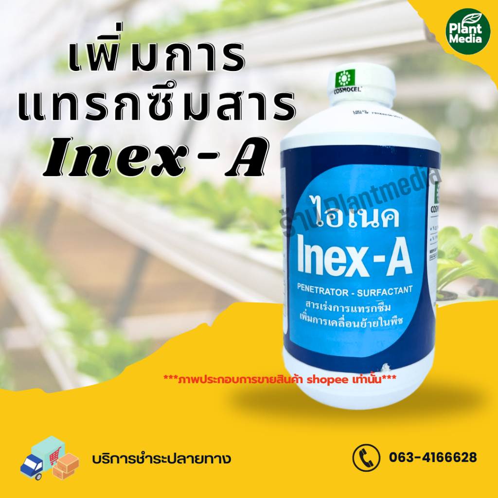 สารเร่งการแทรกซึม Inex-A ไอเนค Cosmocel เพิ่มการเคลื่อนย้ายในพืช ลดการเกิดฟอง ขนาด 1 ลิตร