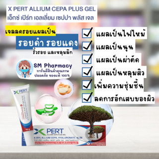 ของแท้ ✅ X PERT Allium Cepa Plus Gel ผลิตภัณฑ์ดูแลผิวเจลลดรอยแผลเป็น รอยดำ รอยแดง การอักเสบ ริ้วรอย และหลุมลึก 10 g.