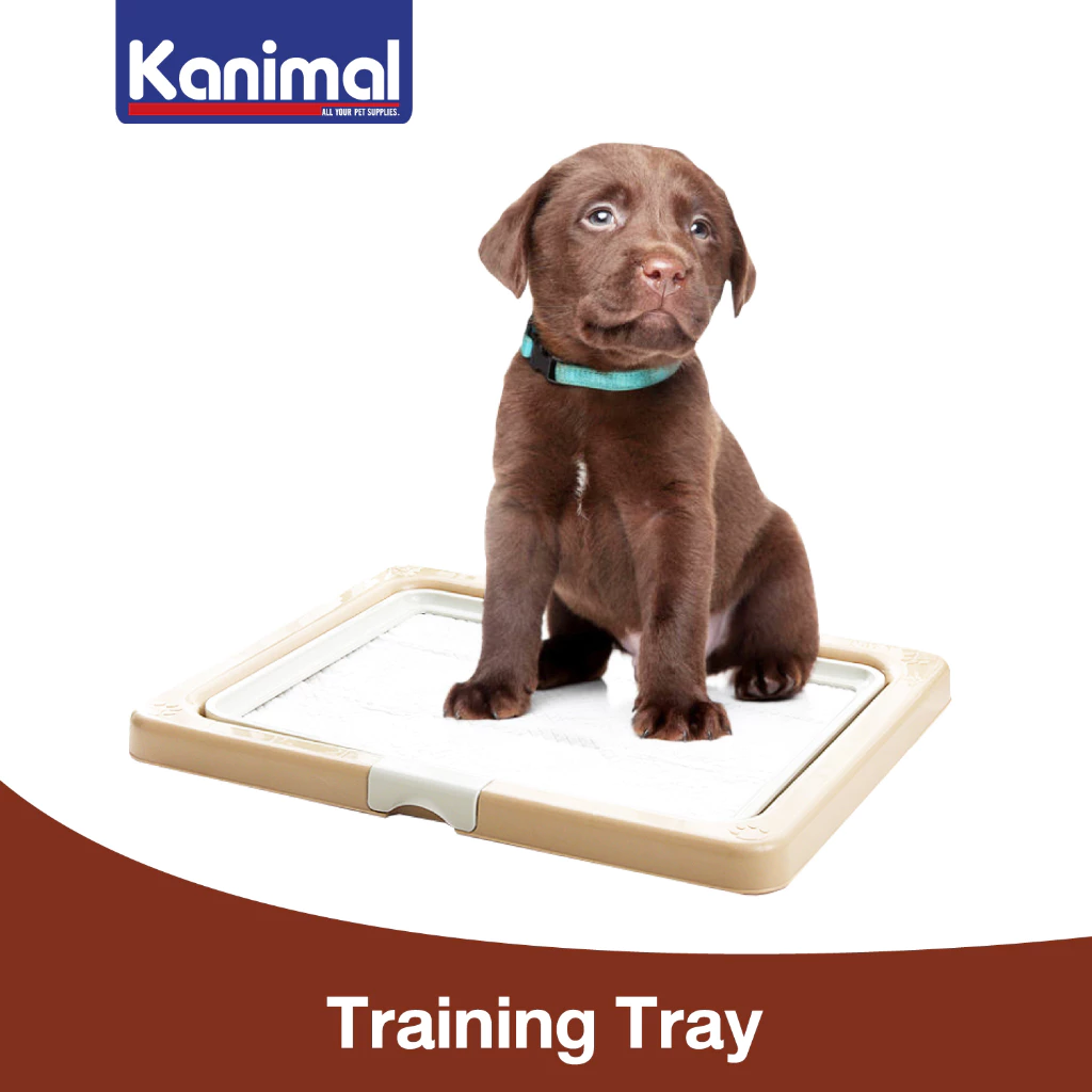 [70025] Kanimal Dog Toilet ห้องน้ำสุนัข ขนาด 55x45x3.7 ซม. รุ่น Classic เปิดฝาบน พร้อมที่ล็อคฝา สำหรับสุนัขพันธุ์กลาง