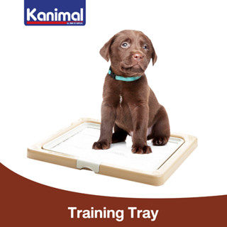 Kanimal Dog Toilet ห้องน้ำสุนัข รุ่น Classic เปิดฝาบน พร้อมที่ล็อคฝา สำหรับสุนัขพันธุ์กลาง Size M ขนาด 55x45x3 ซม.