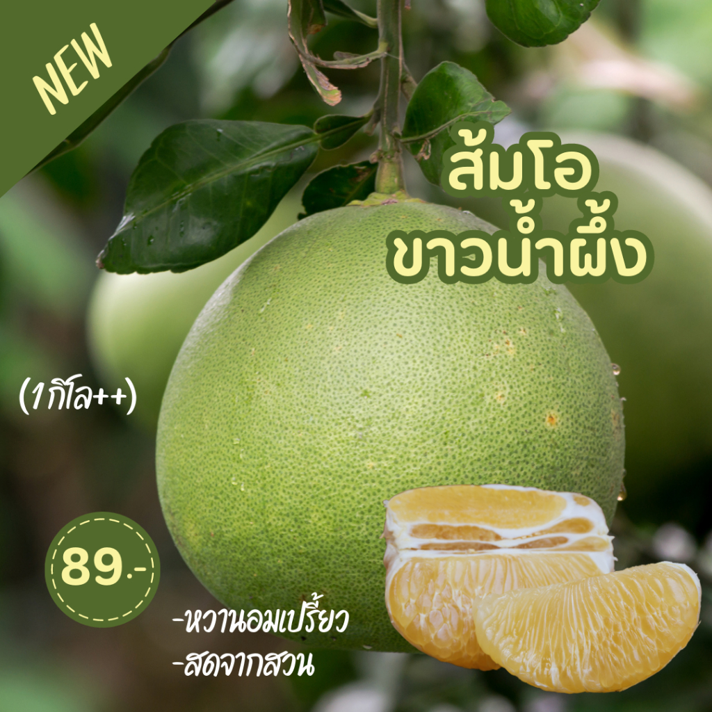 ส้มโอขาวน้ำผึ้ง พิจิตร