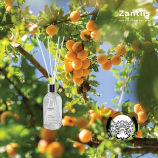 ZANTIIS AROMATIC REED DIFFUSER (100 ML)  สร้างบรรยากาศที่ดี ปรับอากาศ ก้านไม้หอมปรับอากาศ พืชบริสุทธฺ์