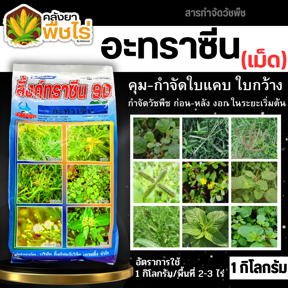 🌽 ลิ้งค์ทราซีน 90 (อะทราซีน90%WG) 1กิโลกรัม คุมก่อนวัชพืชใบแคบงอกในไร่อ้อย