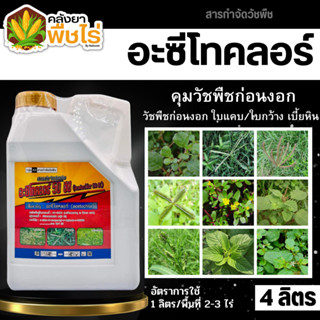 🌽 อะซีโทคลอร์ 50อีซี (อะซีโทคลอร์50%EC) 4ลิตร คุมก่อนงอกหญ้าใบแคบและใบกว้าง