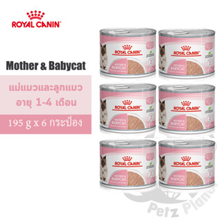 Royal Canin Mother&amp;BabyCat Mousse อาหารชนิดเปียก แบบกระป๋อง สำหรับแม่แมวและลูกแมวอายุ1-4เดือน 195g x 6กระป๋อง