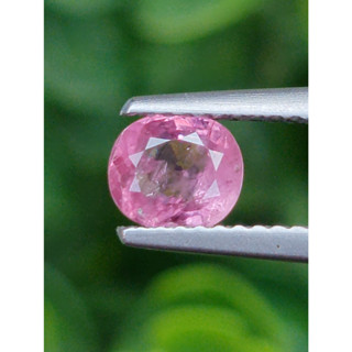 พลอย ชมพู พิ้ง แซฟไฟร์ Pink Sapphire 0.92 กะรัต (Cts.)