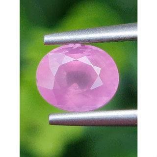 พลอย ชมพู พิ้ง แซฟไฟร์ Pink Sapphire 1.41 กะรัต (Cts.)