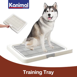 Kanimal Dog Toilet ถาดฝึกฉี่สุนัข ถาดรองซับ ห้องน้ำสุนัข รุ่นเปิดฝาบน สำหรับสุนัขพันธุ์กลาง-ใหญ่ Size M,L,XL
