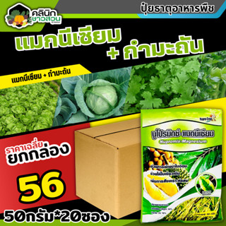 🥬 💥💥 สินค้ายกกล่อง 💥💥 นูโปรมิกซ์-แมกนีเซียม (แมกนีเซียม กำมะถัน) บรรจุ 1กล่อง50กรัม*20ซอง ใบเขียวเข้มเขียวทนนาน