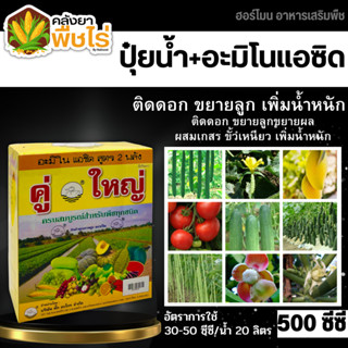 🌽 คู่ใหญ่ (อะมิโนแอซิด) 500ซีซี+500ซีซี ขยายลูก ดอก เพิ่มน้ำหนัก