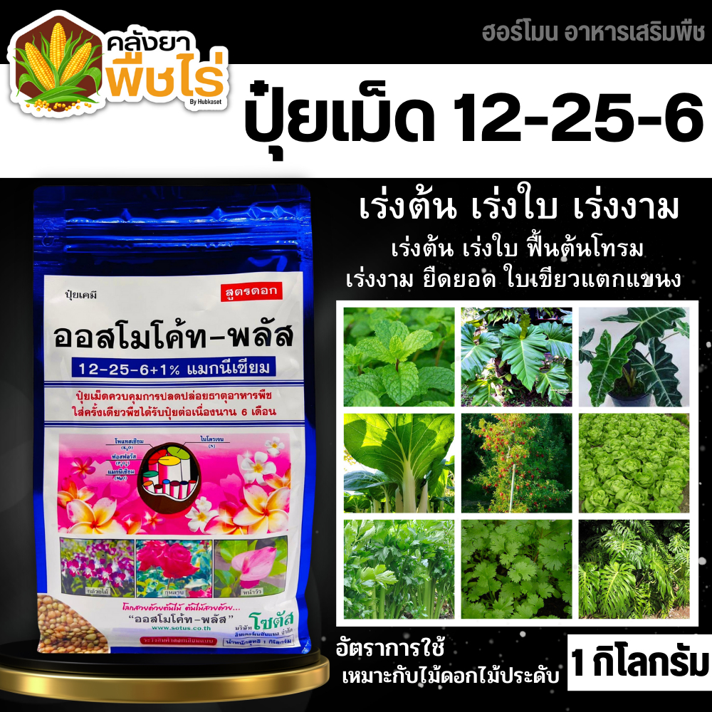 ออสโมโค้ท-พลัส (12-25-6) 1กิโลกรัม เร่งงาม ยืดยอด แตกแขนง