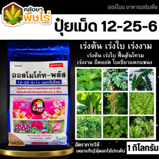 🌽 ออสโมโค้ท-พลัส (12-25-6) 1กิโลกรัม เร่งงาม ยืดยอด แตกแขนง