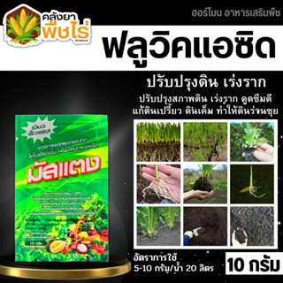 🌽 มัสแตง (ฟลูวิค+ฮิวมิค) 10กรัม เขียวทน เขียวนาน พื้นต้น