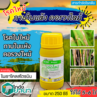 🌾 เฮดไลน์ (ไพราโคลสโตรบิน) ขนาด 250ซีซี สารป้องกันกำจัดโรคพืชประสิทธิภาพสูงป้องกันกำจัดทั้งเชื้อราชั้นต่ำและสูง