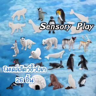 After kids โมเดลสัตว์ขั้วโลก โมเดลสัตว์ พร้อมส่ง Sensory Play