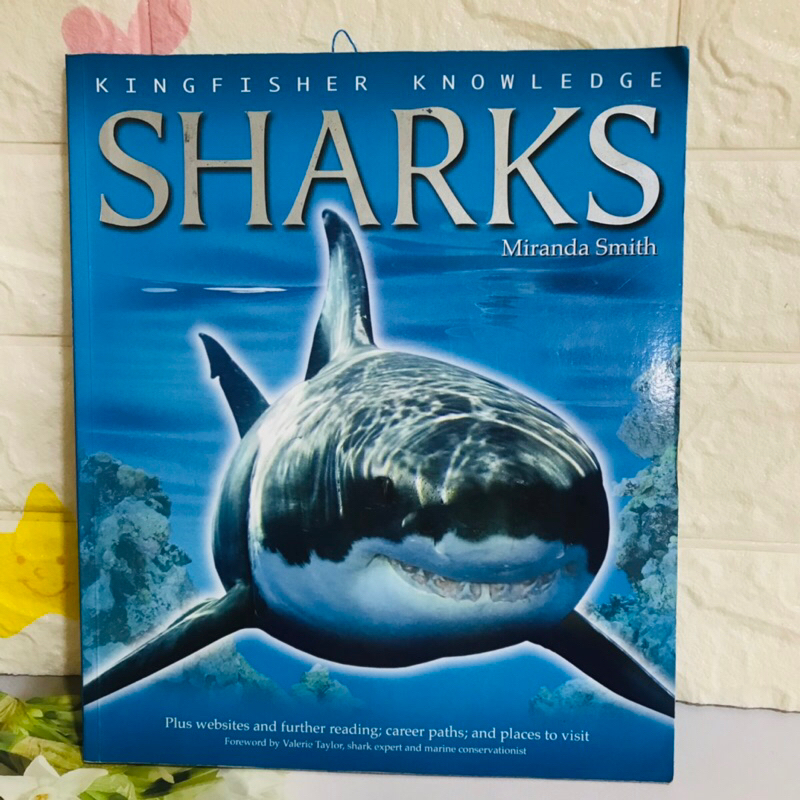 KINGFISHER KNOWLEDGE SHARKS  ปกอ่อนมือสอง-al3
